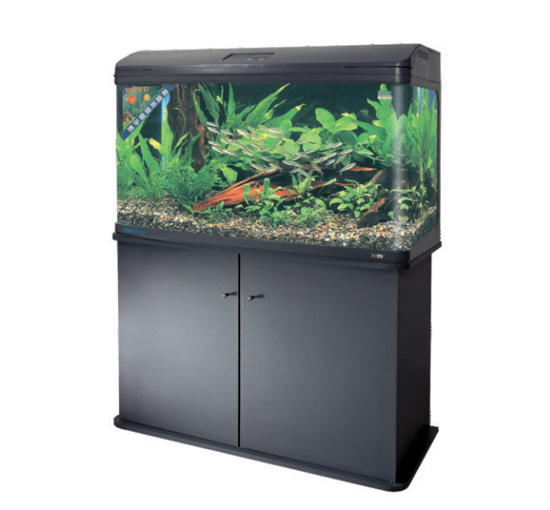 Aquarium tank BT800