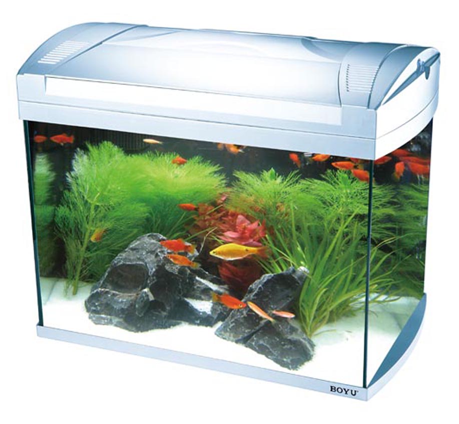 Tanque de aquário V601A